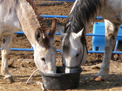 12-05-08 037 (2).jpg