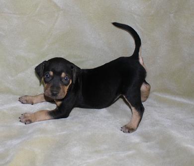 Picture5479687 034.JPG