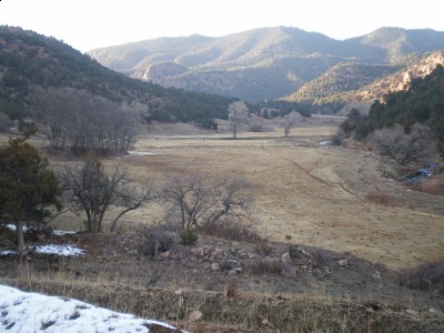 SeansLion 015 [800x600].jpg