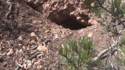 DSC00249 [800x600].JPG