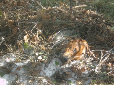 P3220002 [800x600].JPG