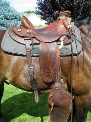 Boswell saddle