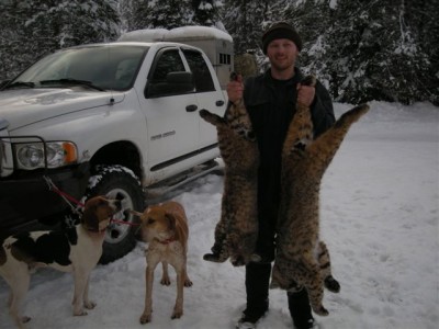 Penney with a couple of bobcats