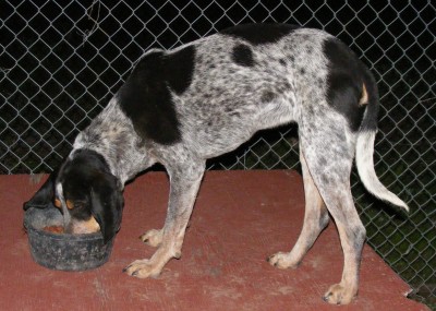 little Ann 007_edited.jpg