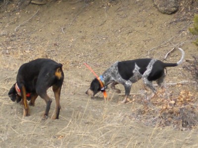 Maggi may and friends 016 [50%].jpg