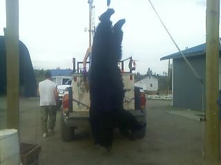 358 POUNDS AND IS 6'6