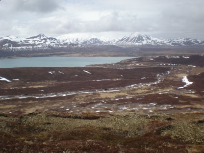 P5140055 [800x600].jpg