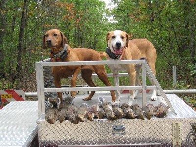 Copy (1) of IMG_0035.JPG