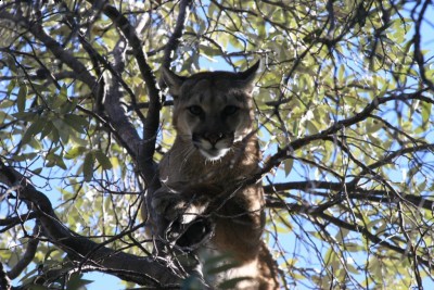 IMG_1351 [Desktop Resolution].jpg