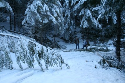 some asshole? Always has to sit around with thier hands in their pockets and watch the man work....