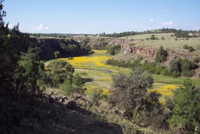 hunting country 02.JPG