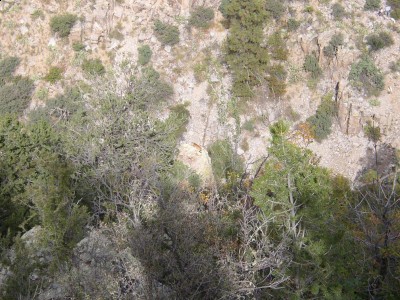 Huntry country 04.JPG