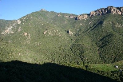 IMG_1458 [1600x1200].JPG