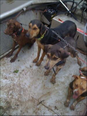 cid_IMG_0023 (2).jpg