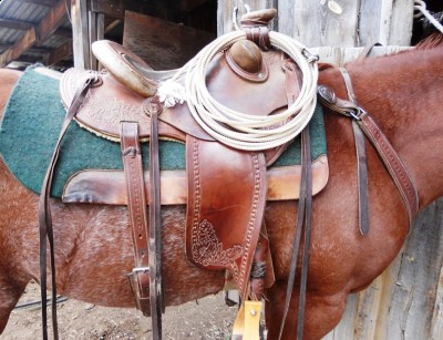 Hulbert Saddle 2.JPG