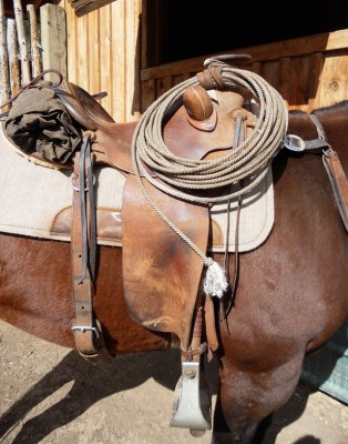 Wilson Saddle close.JPG