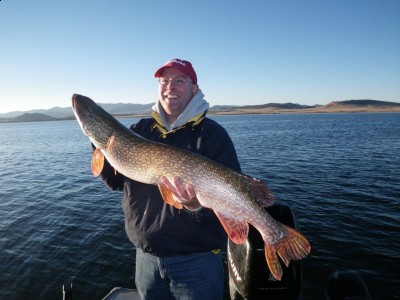 IMGP0092 [800x600].jpg