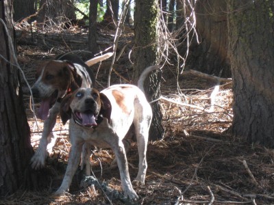 Copy of Picture 080.jpg