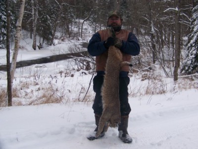 cats 1 058 [640x480].jpg