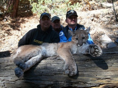 checking on bears 145 [1600x1200].jpg