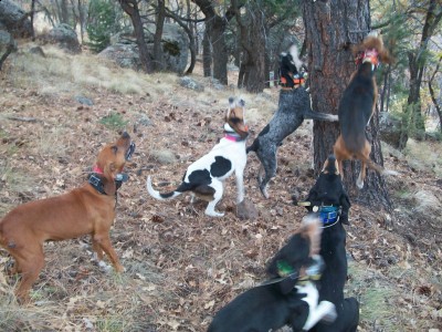 checking on bears 068 [1600x1200].jpg