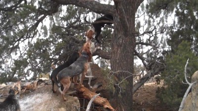 Video 31 00m 00s.jpg