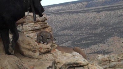 Video 27 00m 26s.jpg