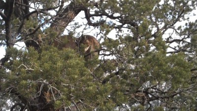 Video 29 00m 00s.jpg