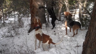 Video 42 00m 14s.jpg