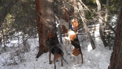 Video 42 00m 29s.jpg