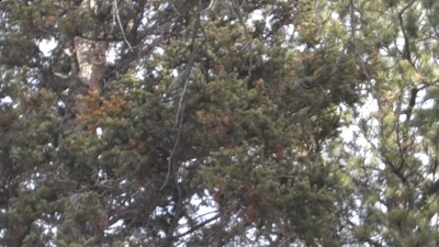 Video 43 00m 13s.jpg