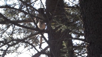 Video 39 00m 20s.jpg