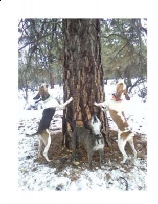 luke, casey & sophie.jpg