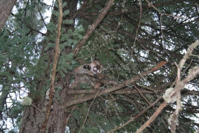 IMG_3642 [Desktop Resolution].JPG