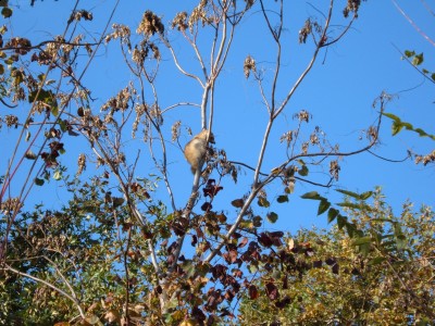 sean and matthew 2010 002.jpg