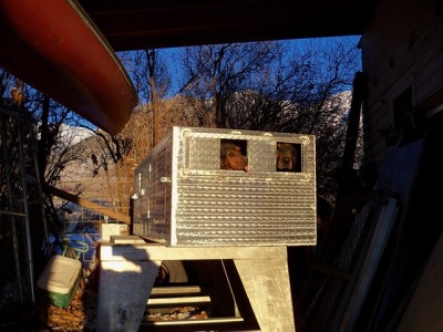 for a flat bed 80 inches wide 36 deep 23 tall, two seperators, three doors.