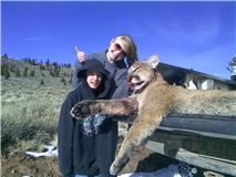 Mtn lion 2010 9.jpg