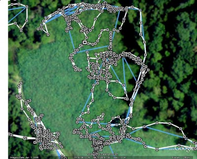 Reed grass area satellite view (Goog E) with tracks downloaded from DC-30 collar (white lines and squares).