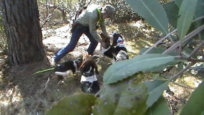 SNAP THEM UP AND OUT WE GO