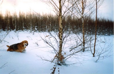 гай в полазе.jpg