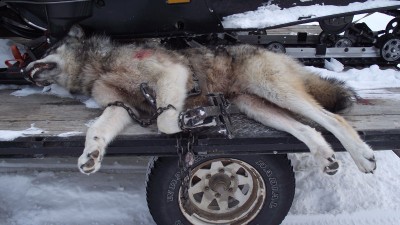 Wolf Castle River.jpg