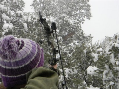 Trashy Mustang Hounds 031.jpg