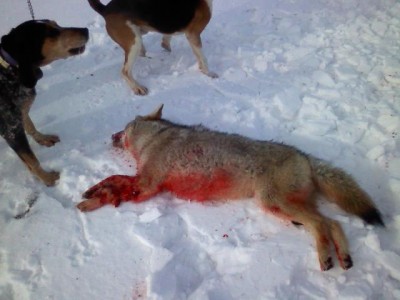 Credit Application.jpg