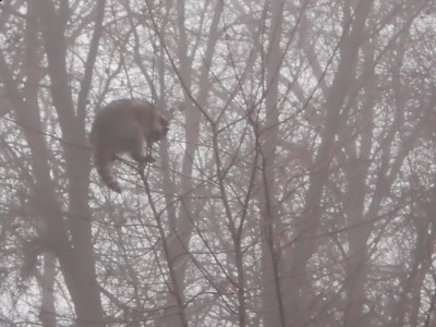 P1170139 (1024x768).jpg