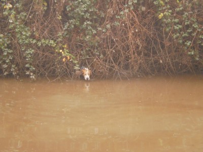 P1170175 (1024x768).jpg