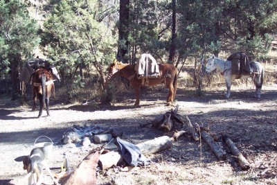 Almost home after a long ride