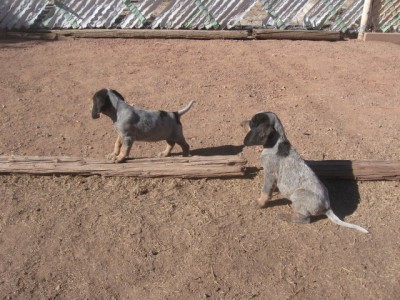 bonnie & betty 009.jpg