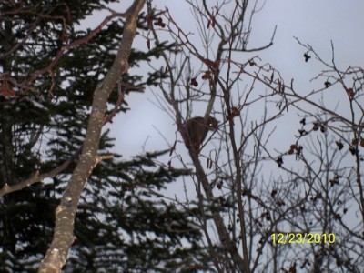 Copy of 106_0248 [640x480].JPG