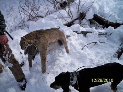 106_0252 [640x480].JPG