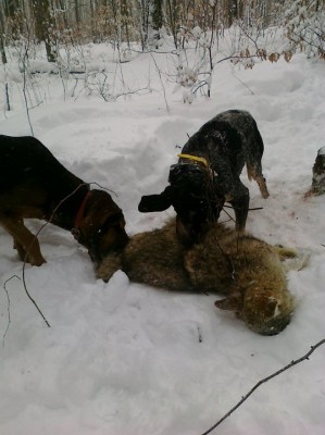 yote and walter 2.jpg